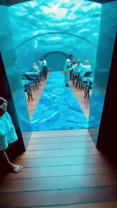 Dinner under the sea in Maldives