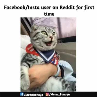 Happened to me too xD