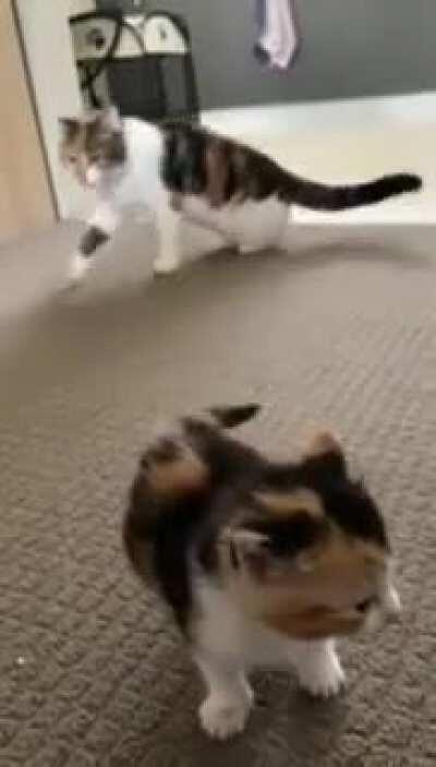 she’s been written up for several noise complaints.