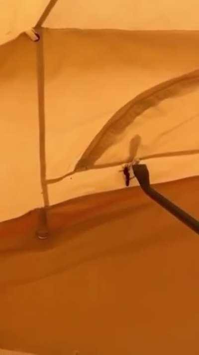 Burn it. Burn it all.