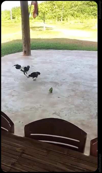 he now has battle armor