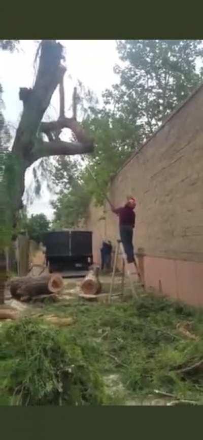 Good thing he wore a helmet…