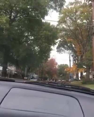 High school senior runs over classmate.