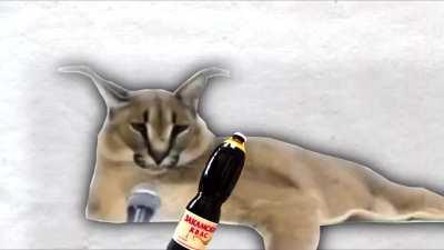 Floppa Advertises his favorite drink