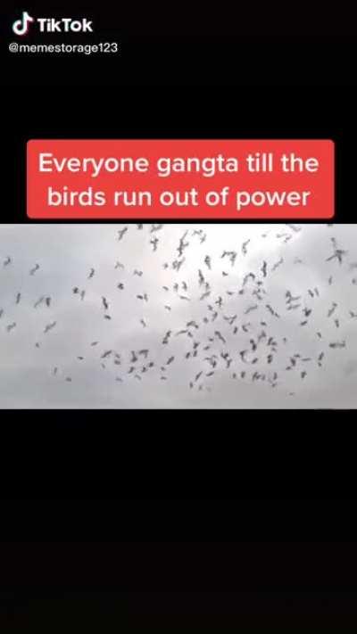 They forgot to charge the spy’s