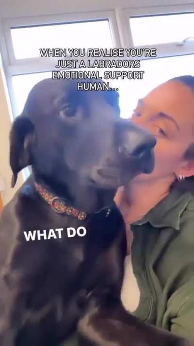 When you’re in need of some love from your emotional support human.