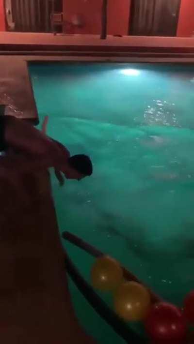 WCGW while throwing someone into the pool.