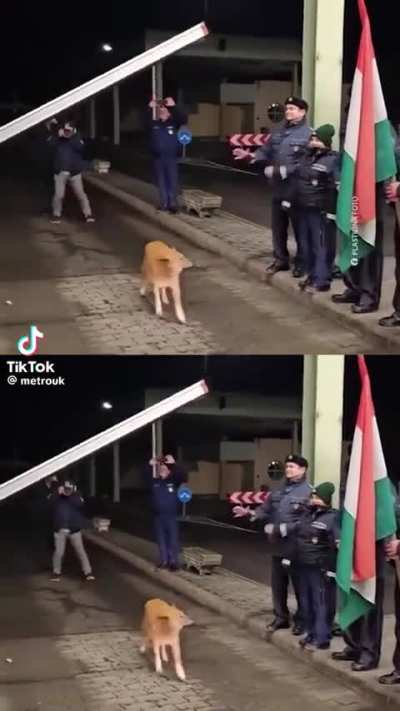 The true main character