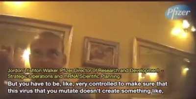 Pfizer director of research and development