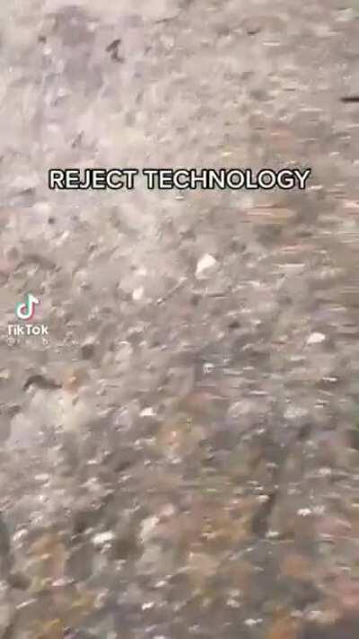 I think this fits here