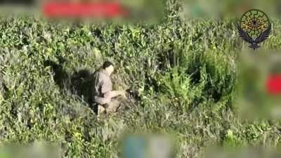 Russian soldier picked up a Ukrainian FPV drone that failed to explode at first. When he threw the drone he regretted his actions. Observed by Ukrainian 110th Mechanized Brigade's UAV Battalion. Zaporizhzhia direction. May 5, 2025