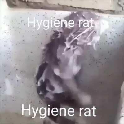 dont attend anime conventions