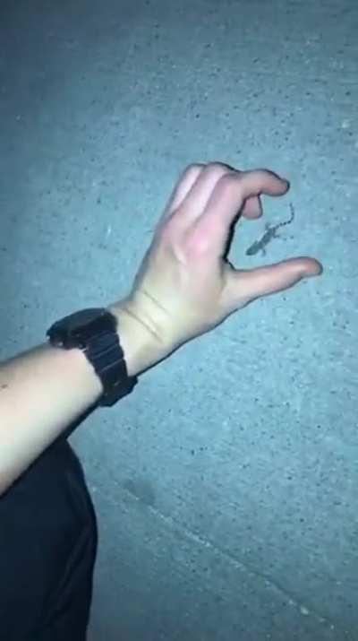 This one&rsquo;s a twofer. Anyone want to identify this creature?