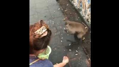 Agradecido con el de arriba 🙏🙏