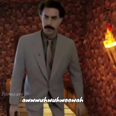 Can someone explain to me how to match the background motion of a rotoscope in AE?