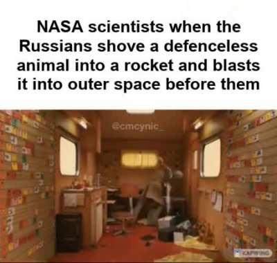 Oh yeah? Well we're gonna send a fucking CHIMP into space. Take that, Commies!