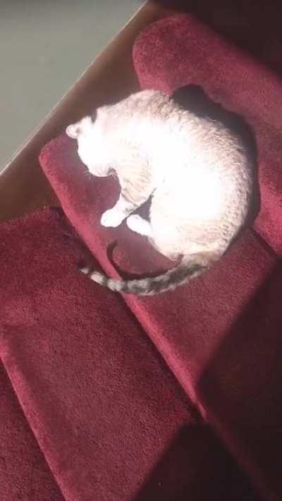 My lovable, indecisive goofballs