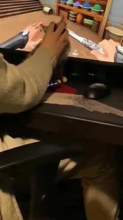 Isso sim é ter um gato 