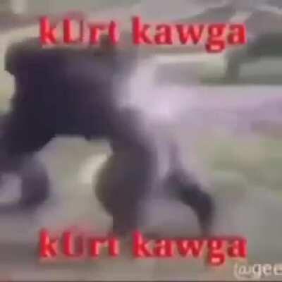 +Abi abi abi mevzu var bir kişi beş kişiyi dövüyor -Kesin o kürttür