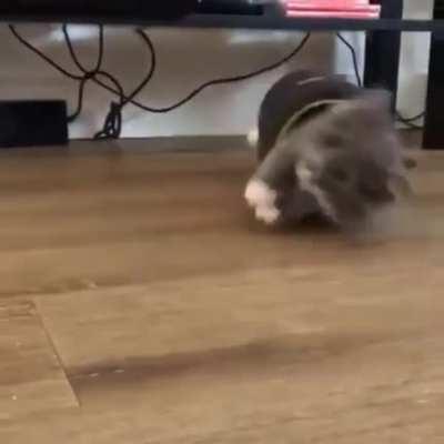 Переключите свои мимиметры в режим измерения 