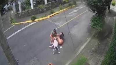 Man chokes out a Pitbull to save a woman