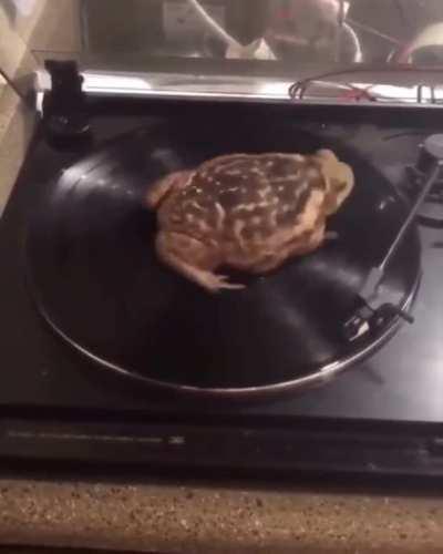 Strictly speaking, I&rsquo;m holding on