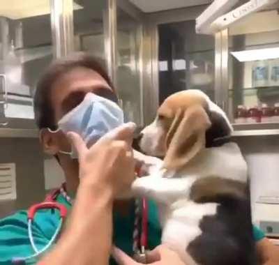 UnRuLy PaTiEnT AtTaCkS dOcToR aNd AtTeMpTs t0 rEmOvE HiS MaSk.