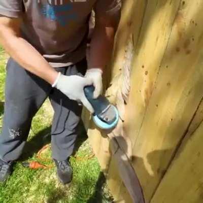 Creating an amazing wooden gate with a chainsaw