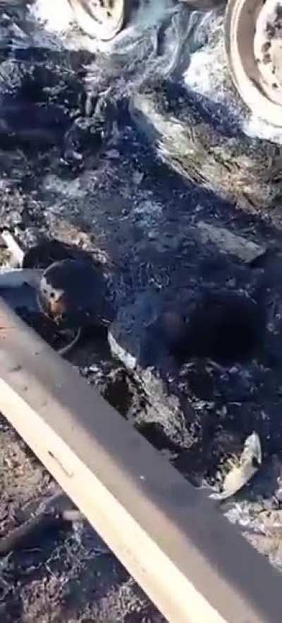 Ministry of Defence Ukraine: Burnt column of the Rosguard in Irpen. Death to enemies!!!