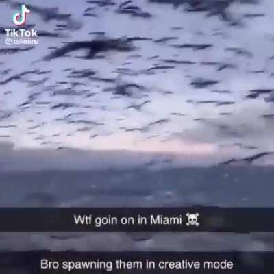 I need to stop posting