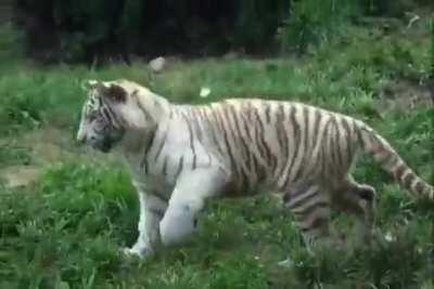 I’m gonna cry, this is so cute