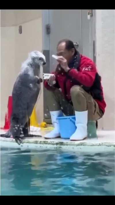 Here! I got more in my pocket!