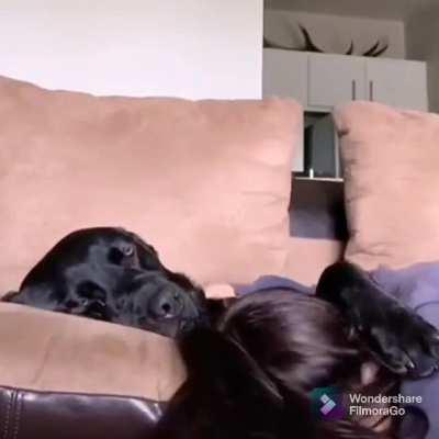 Lie with me and just forget the world