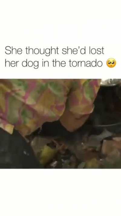 Woman thought she had lost her dog in tornado