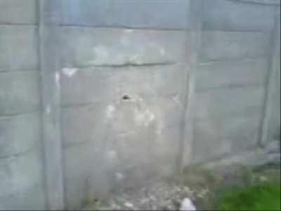Kicking a concrete wall. What could go wrong?