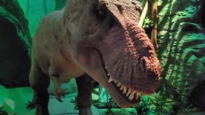 Bin ja eigentlich nicht ängstlich, aber als mich Heute in Köln dieser 2x3m T-Rex aus 50cm Entfernung angefaucht hat, setzte schon ein ziemlicher Fluchtreflex ein. O_O