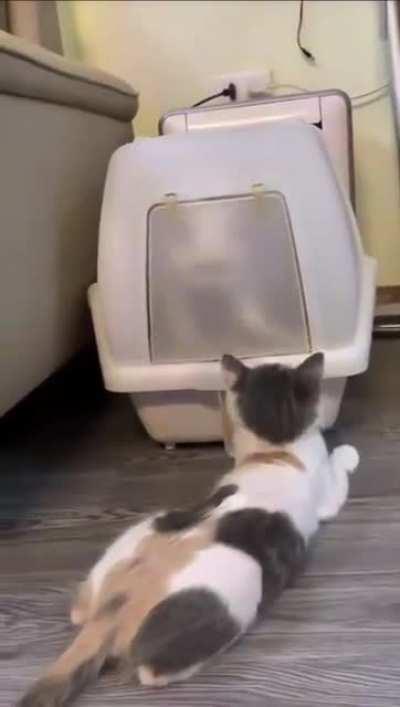 Trapped in a plastic cage of emotion (and odors)