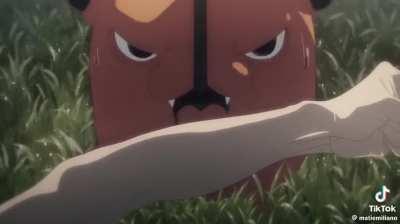 C5N:pochita es Milei