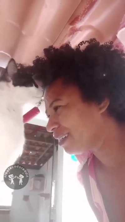 🐱🐱🐱 (acessem o r/bichinhos)