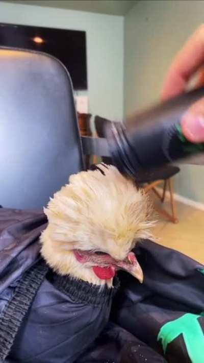 When you got an interview with KFC at 9AM and you getting cooked at 11