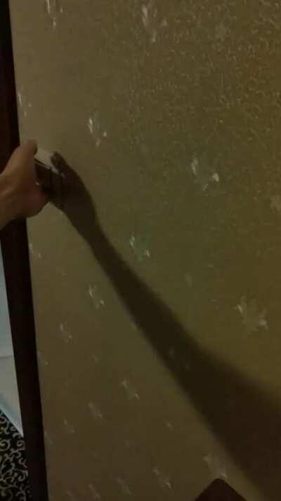 I wired the lights, boss!