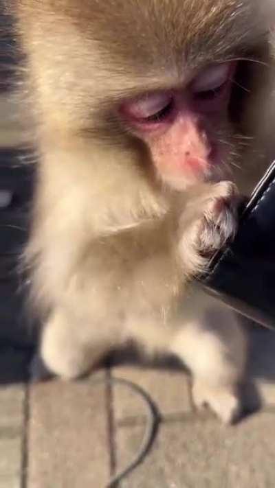 LUAN AGORA PEDE DINHEIRO NA RUA