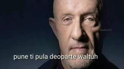 waltuh,pune ti pula deoparte waltuh