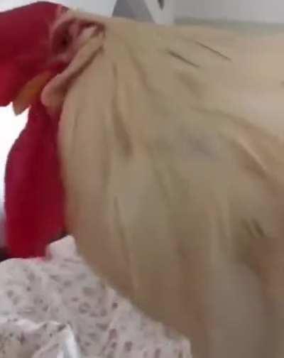 Vintage alarm clock.