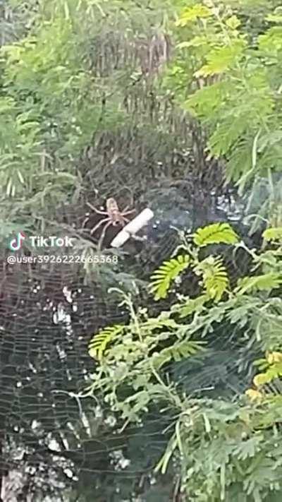 Simplesmente revoltante 