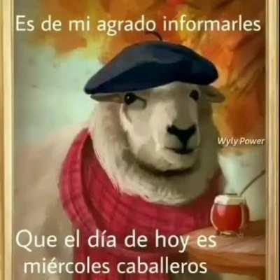 Que tengan un bonito miércoles 🤓