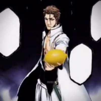 How aizen really lost