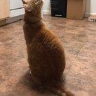 His face when the bubble pops is so cute!