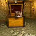 Minecat in a box