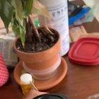 For all the dehydrated homies who don't know how to make water here you go